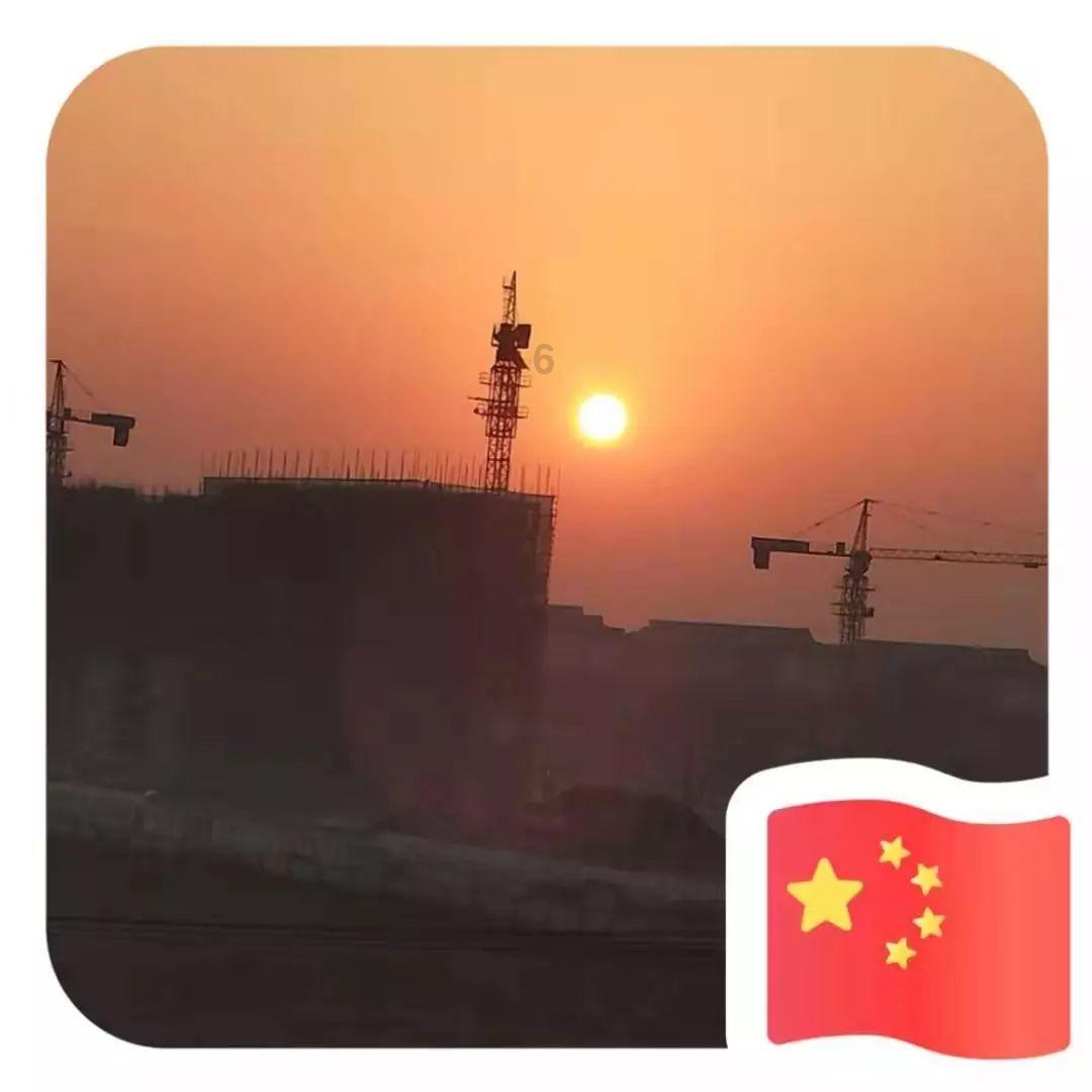 唯一的幸存者